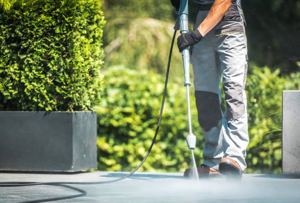 Best Sidewalk and Walkway Cleaning  in Oroville, CA
