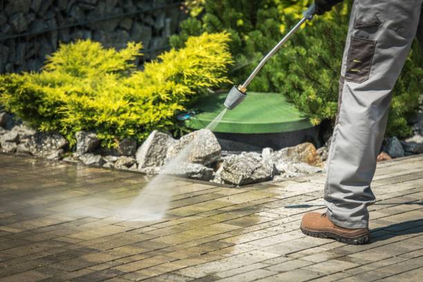 Best Dumpster Area Cleaning  in Oroville, CA
